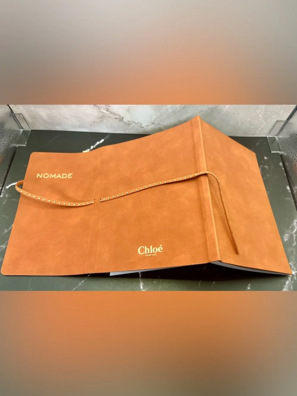 Chloé Nomade Notebook VIP Gift with Studded Strap & Stickers NWT
